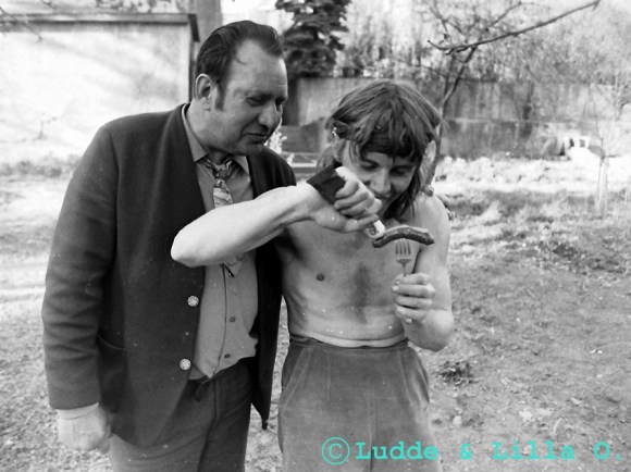 gamla hagalund-trädgård-1